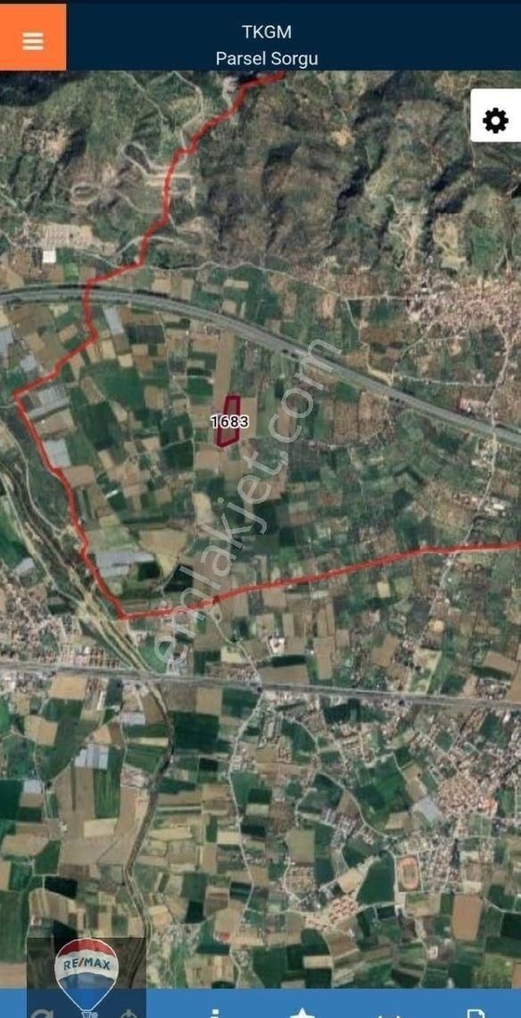 Aydın Kızıcaköy Mah. 21.120 M2 Satılık Tarla İncir Bahçesi - Görsel 2