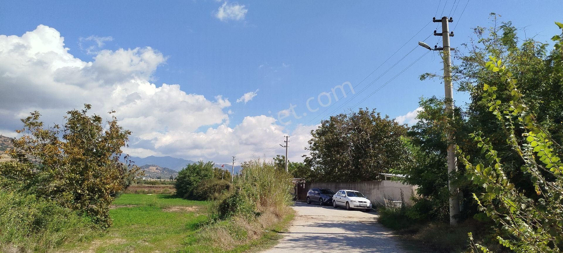 Aydın Kızıcaköy Mah. 21.120 M2 Satılık Tarla İncir Bahçesi - Görsel 5