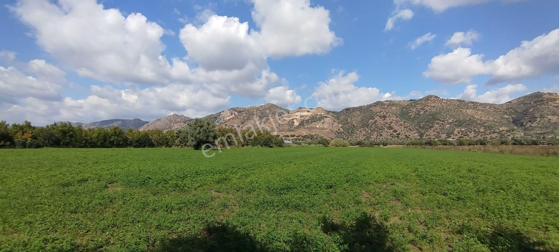 Aydın Kızıcaköy Mah. 21.120 M2 Satılık Tarla İncir Bahçesi - Görsel 20