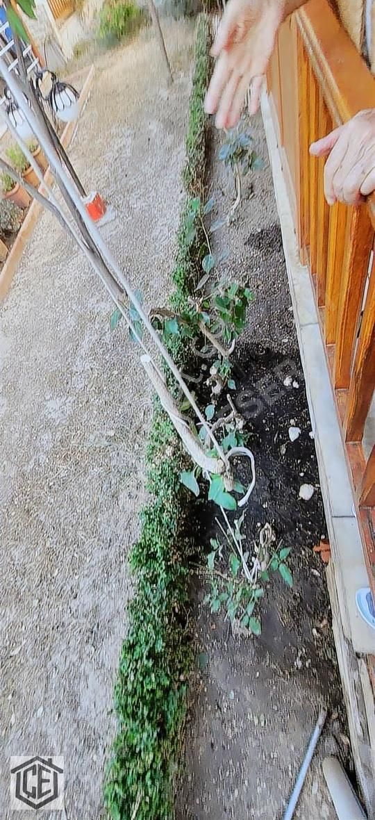 Özdere Orta Mahalle De Denize 60 Metre Site İçinde Bakımlı Villa - Görsel 20