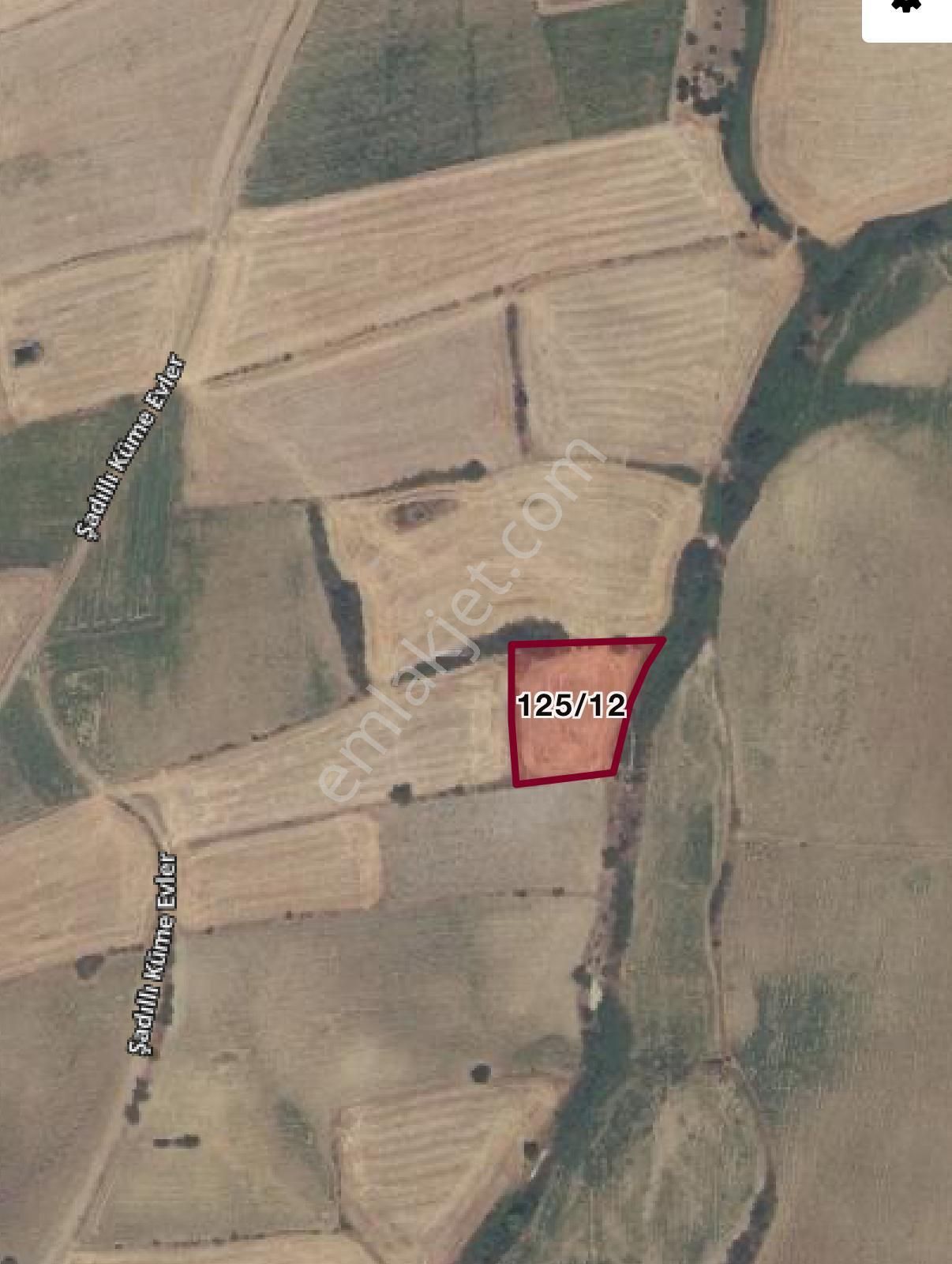 Melek Demir Gayrimenkul Çanakkale Evreşe Şadıllıköyünde Tarla