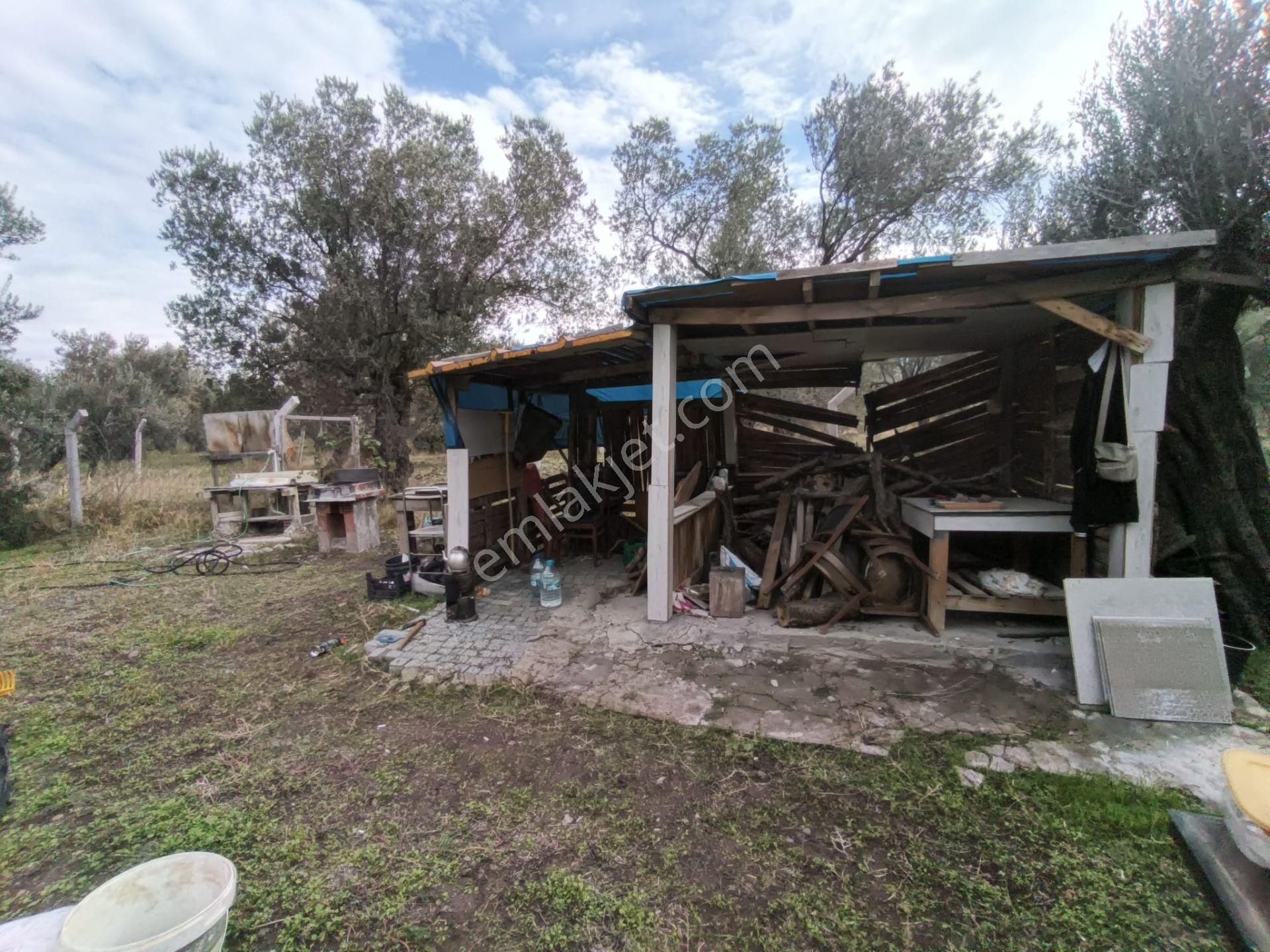 Golden Globy, Havran Mescit'de Satılık 1100 M2 Hobi Bahçesi Ve Zeytinlik - Görsel 13