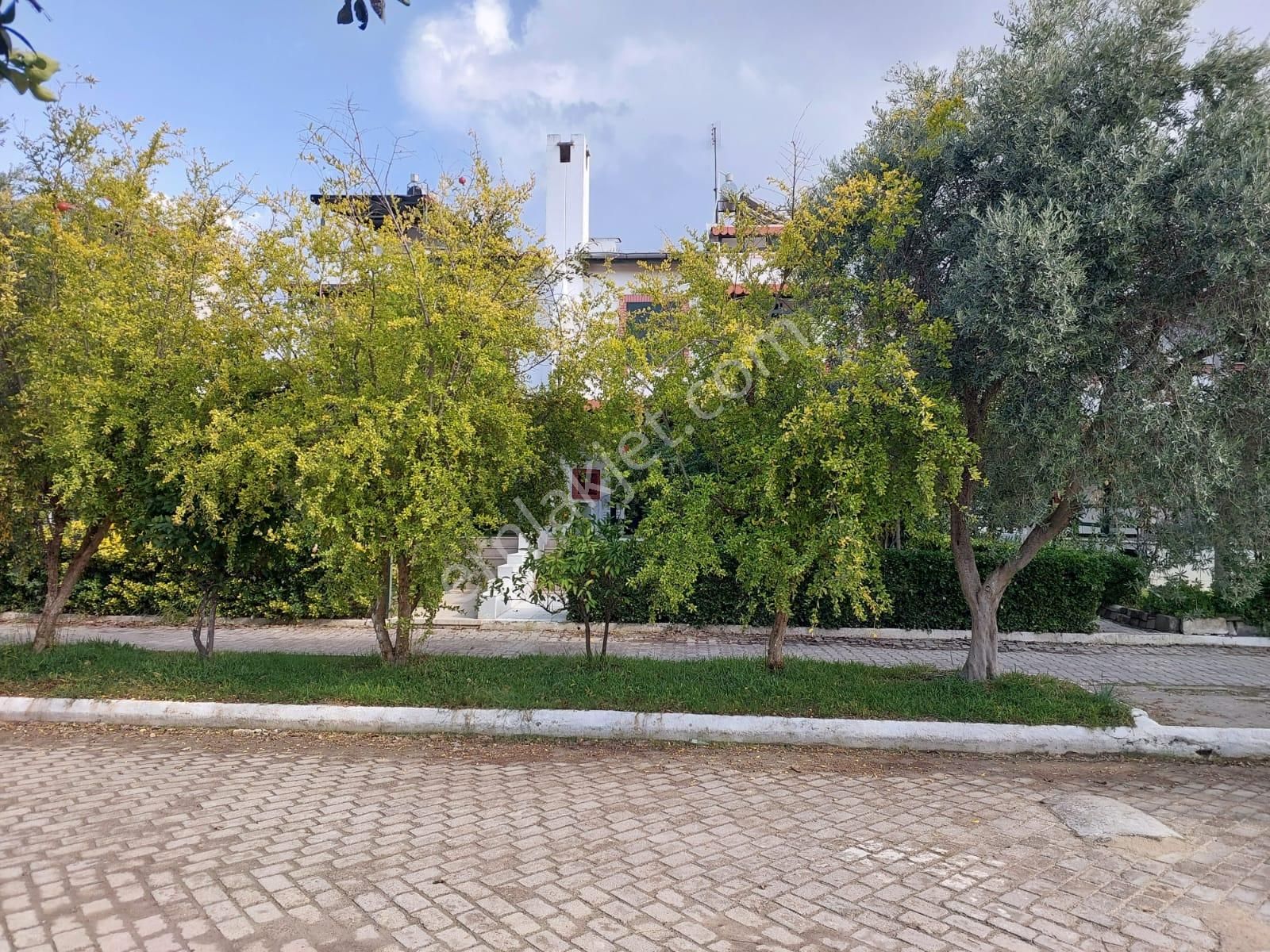 Sahil Sitelerinde Denize 350 Metre 3+1 Yazlık - Görsel 3