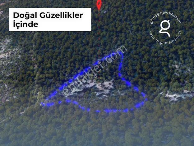 Milas Kalınağıl'da 13.475 M2 Zeytinlik - Görsel 8