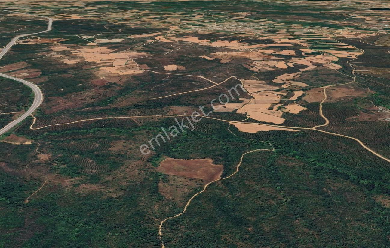 Çanakkale Lapseki Dişbudak’ta 6626 M2 Satılık Tarla - Görsel 2