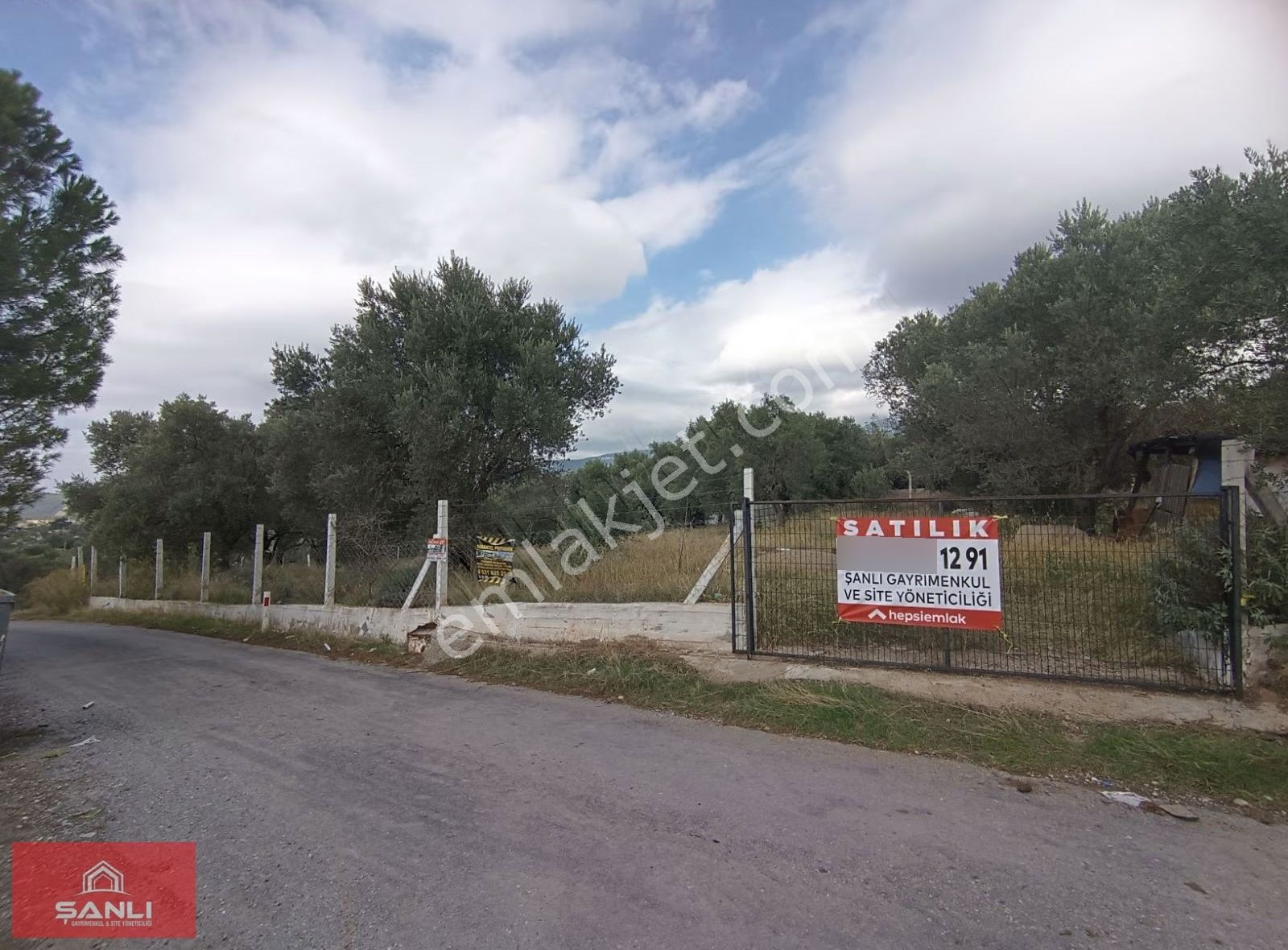 ( Han )doğancılar Mah.yol Üstü Satılık Zeytinlik