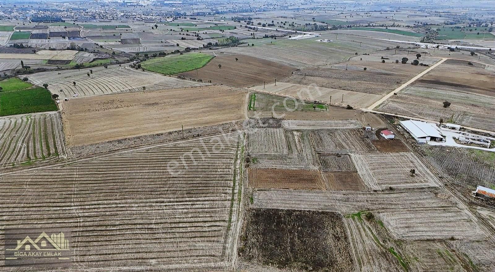 Çanakkale Biga Göktepe Kadastral Yola Cephe Satılık Arazi - Görsel 4