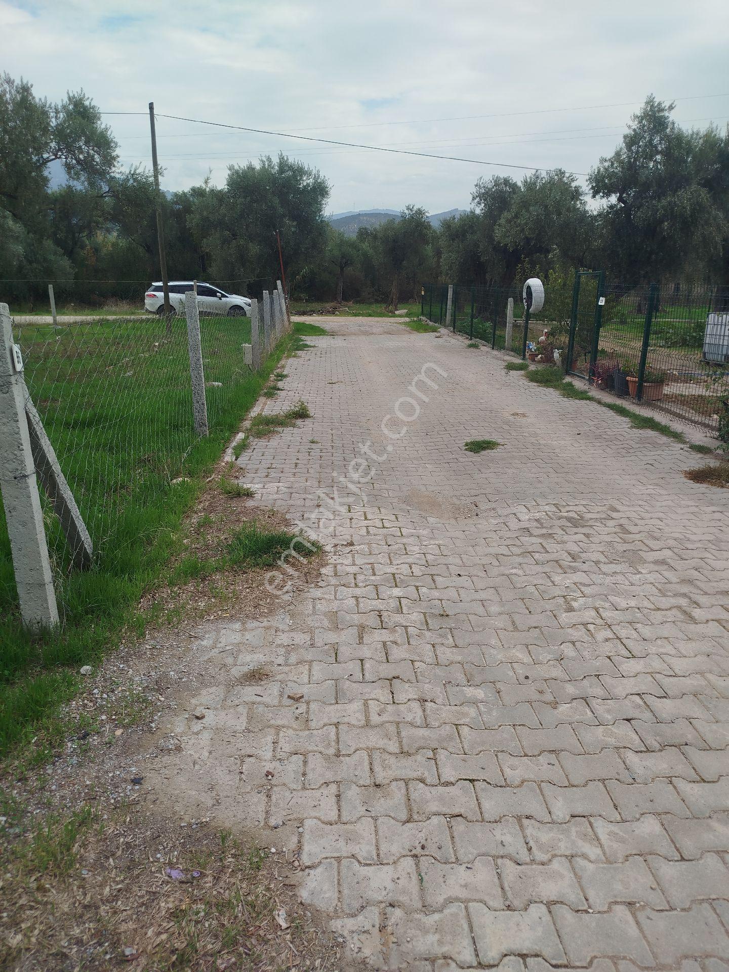 Satılık Arsa - Görsel 4