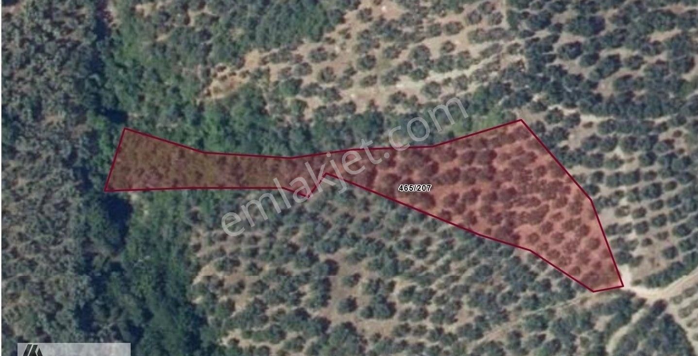 Arte'den Edincik Te 4.420 M2 Zeytinlik Satılıktır - Görsel 3