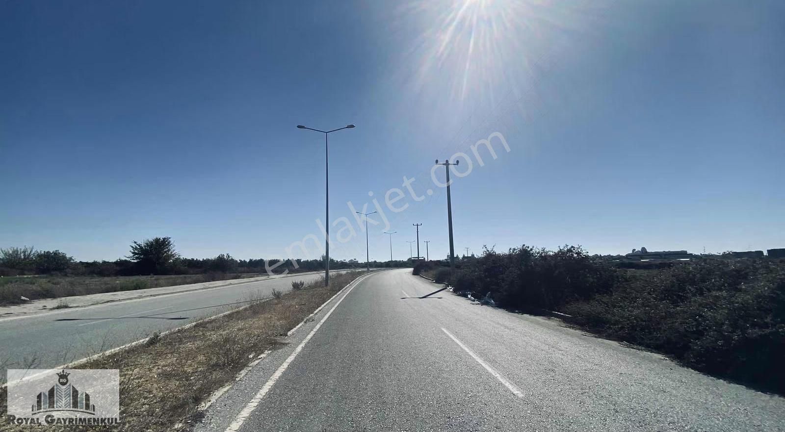 Gündoğduda Satılık Tarla - Görsel 6