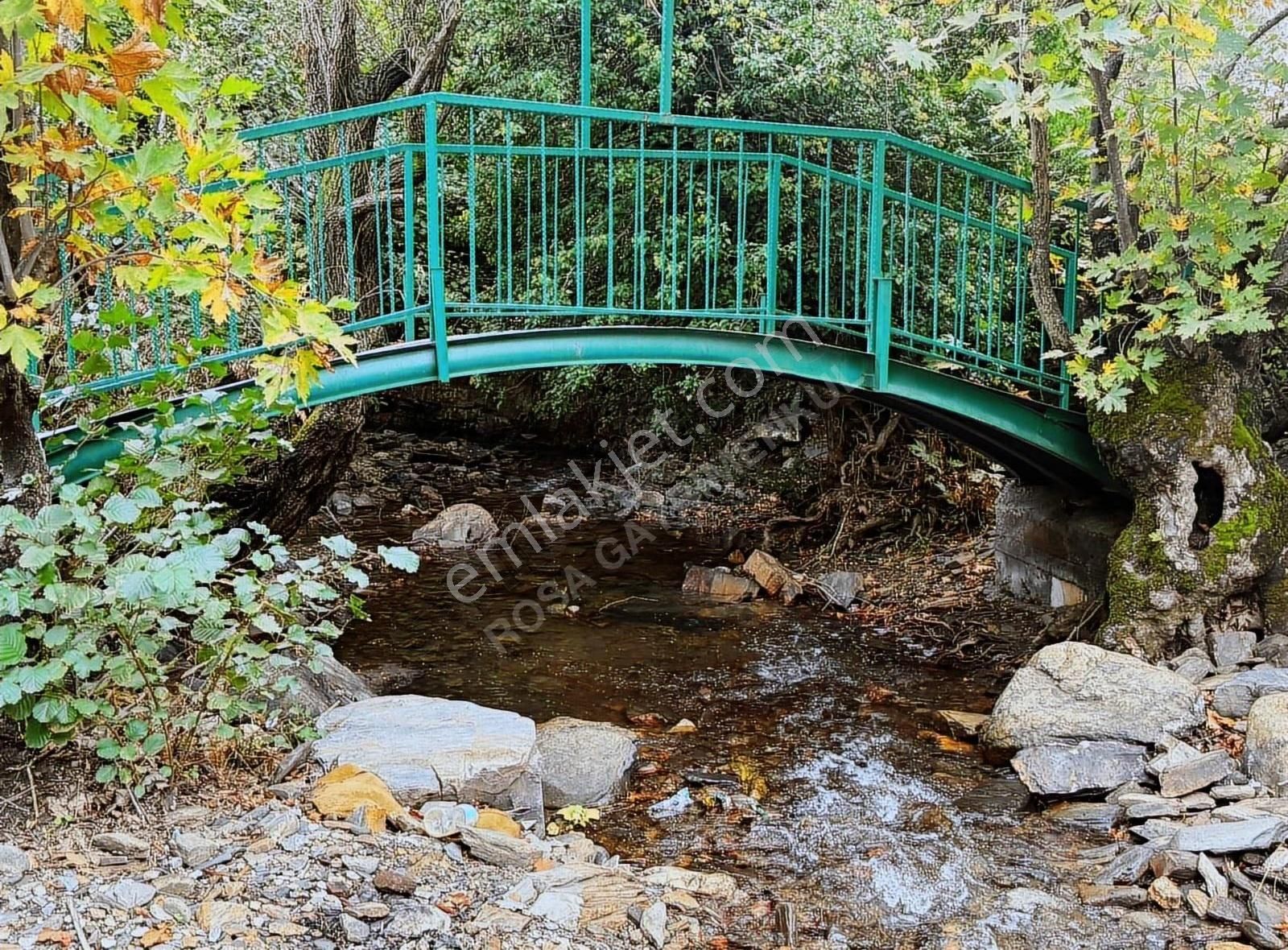 Bayındır Yakapınar'da 2660 M² Satılık Dere Kenarı Zeytinlik