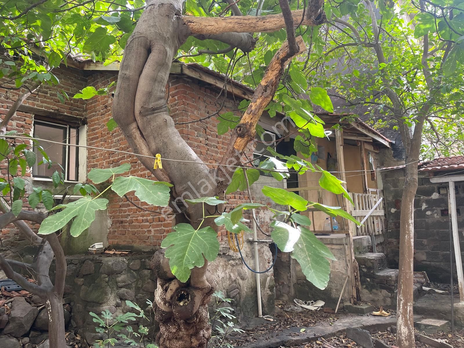 Bayraklı Çay Satılık 2+1 Müstakil Ev - Görsel 9