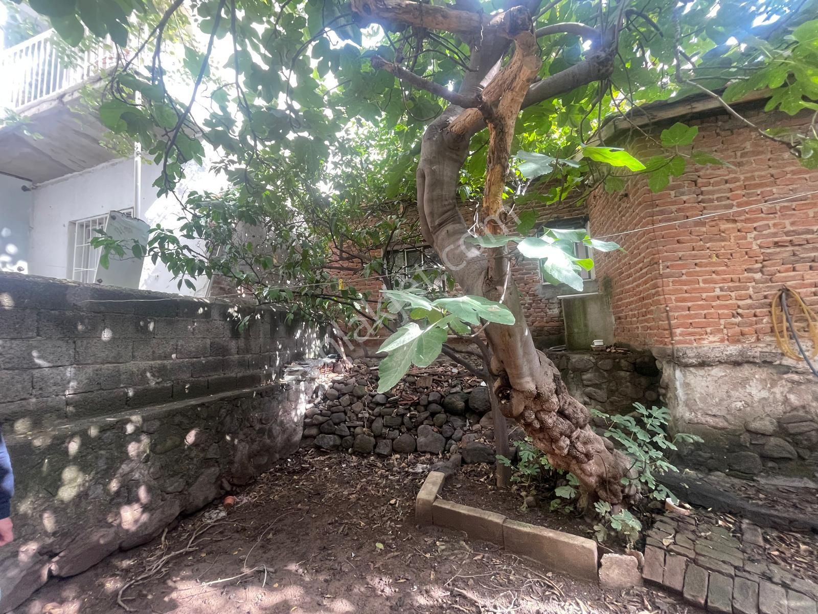 Bayraklı Çay Satılık 2+1 Müstakil Ev - Görsel 2