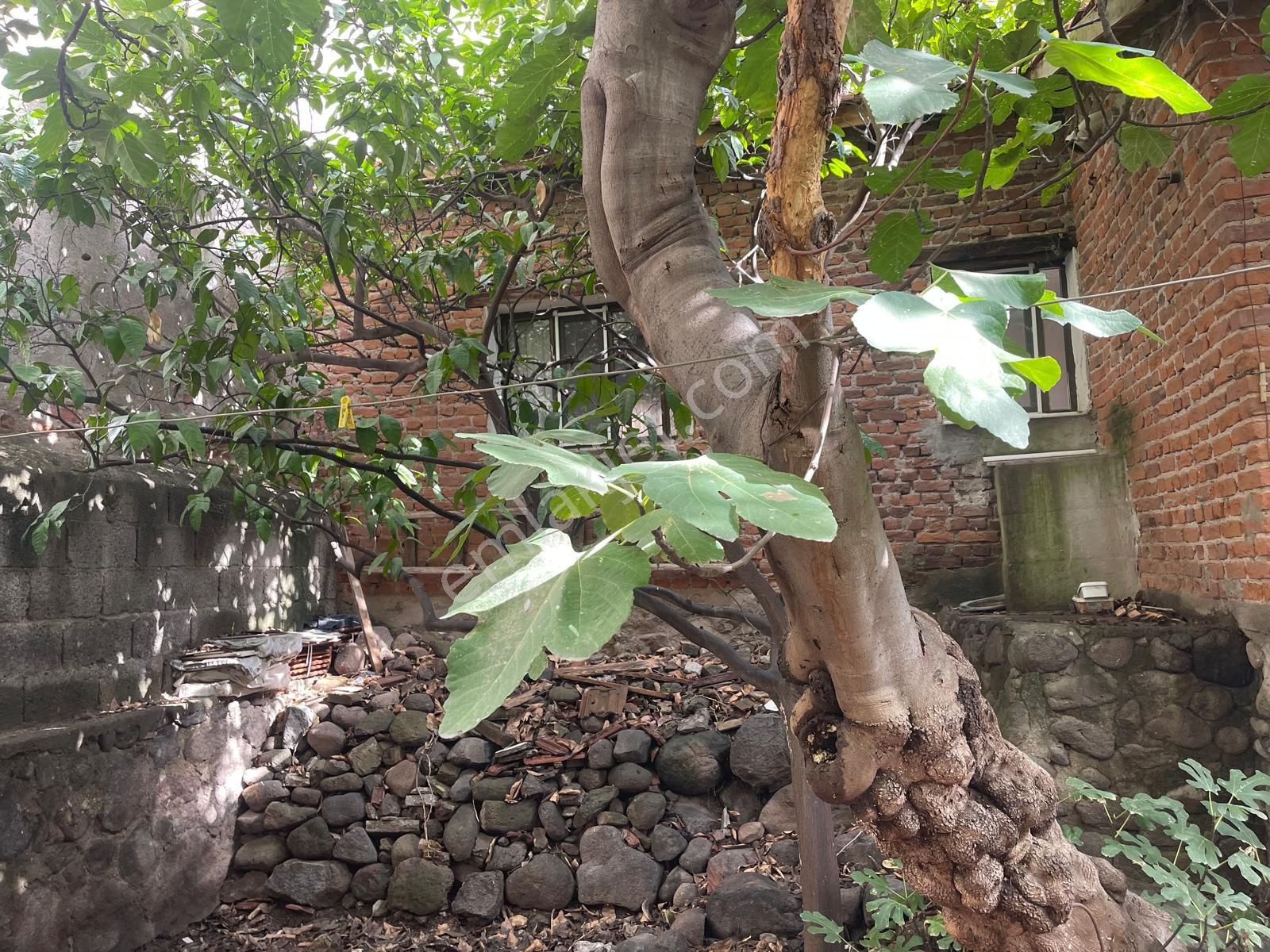 Bayraklı Çay Satılık 2+1 Müstakil Ev - Görsel 3