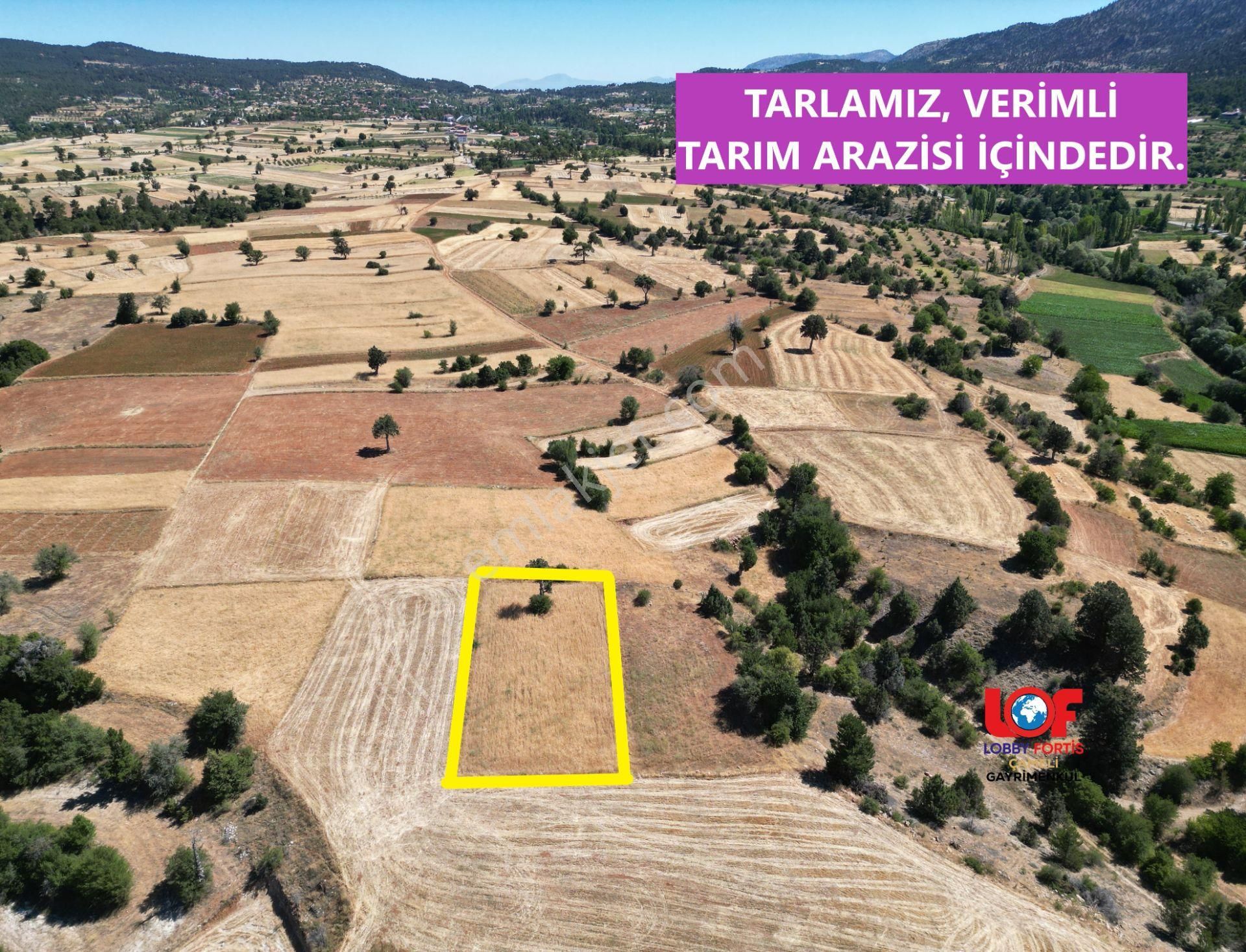 🦋lobby Fortis'ten Satılık Çameli Kalınkoz'da 1199 M² Arazi🦋 - Görsel 2