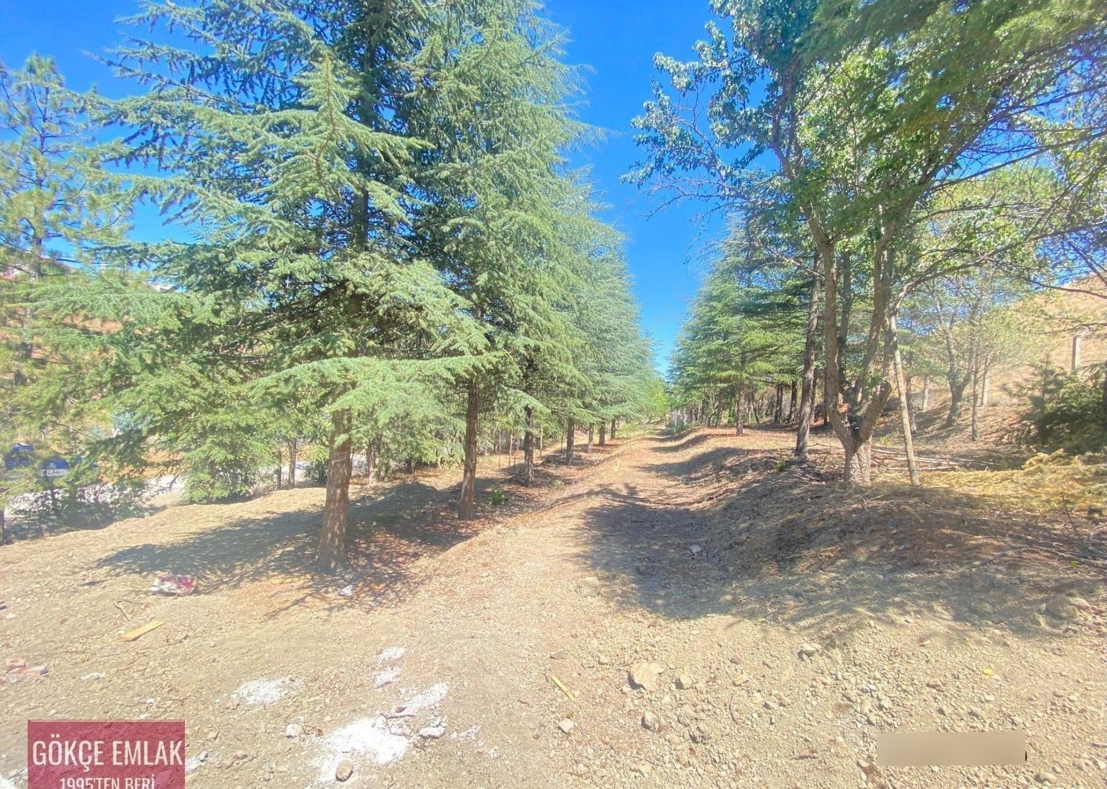 Gökçe Emlak'tn Abadanda Tektapu Yapı Ruhsatlı-anayol Cephe Villa - Görsel 21