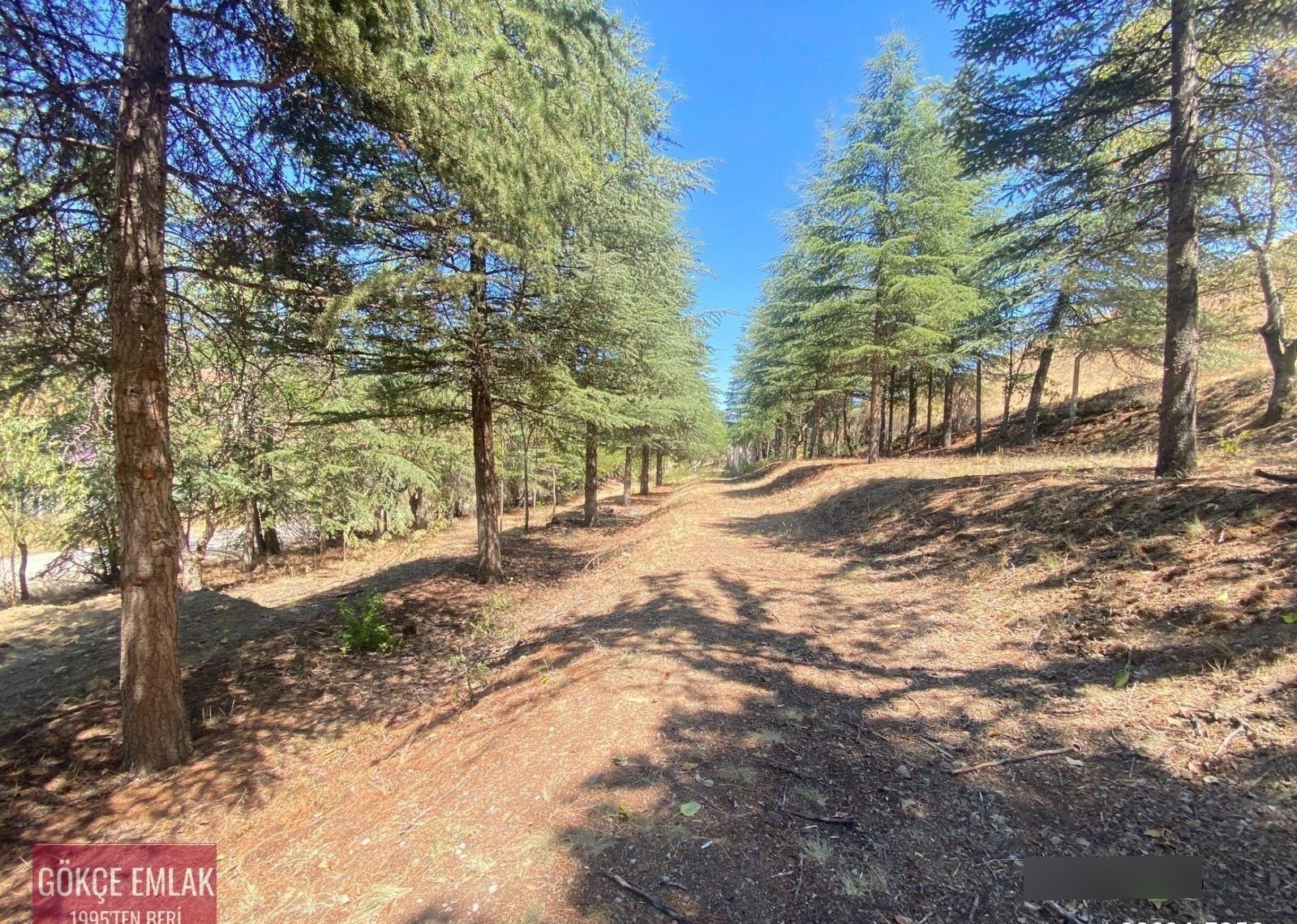 Gökçe Emlak'tn Abadanda Tektapu Yapı Ruhsatlı-anayol Cephe Villa - Görsel 20