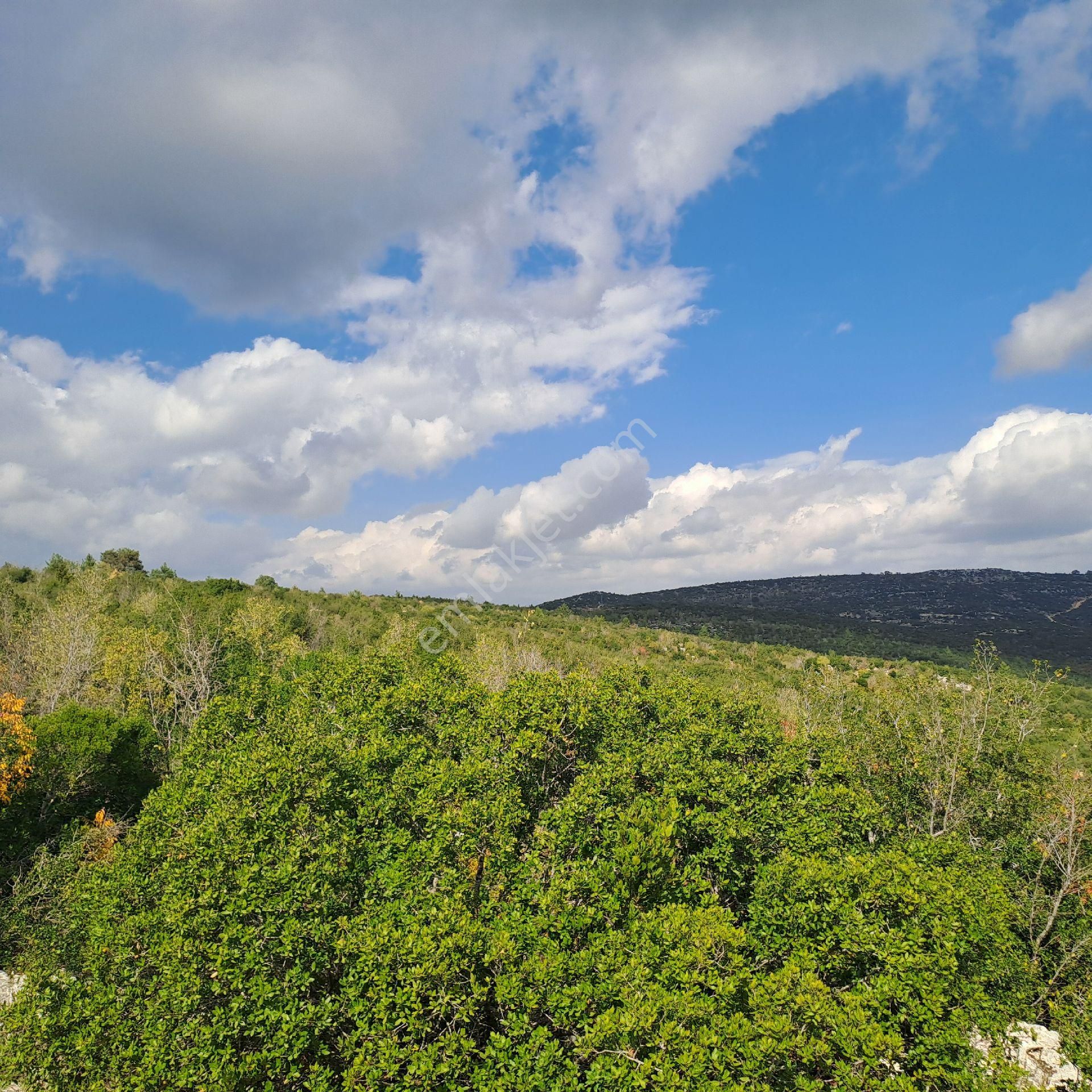 Tarsus Beylicede Yatırımlık Tek Tapu - Görsel 7
