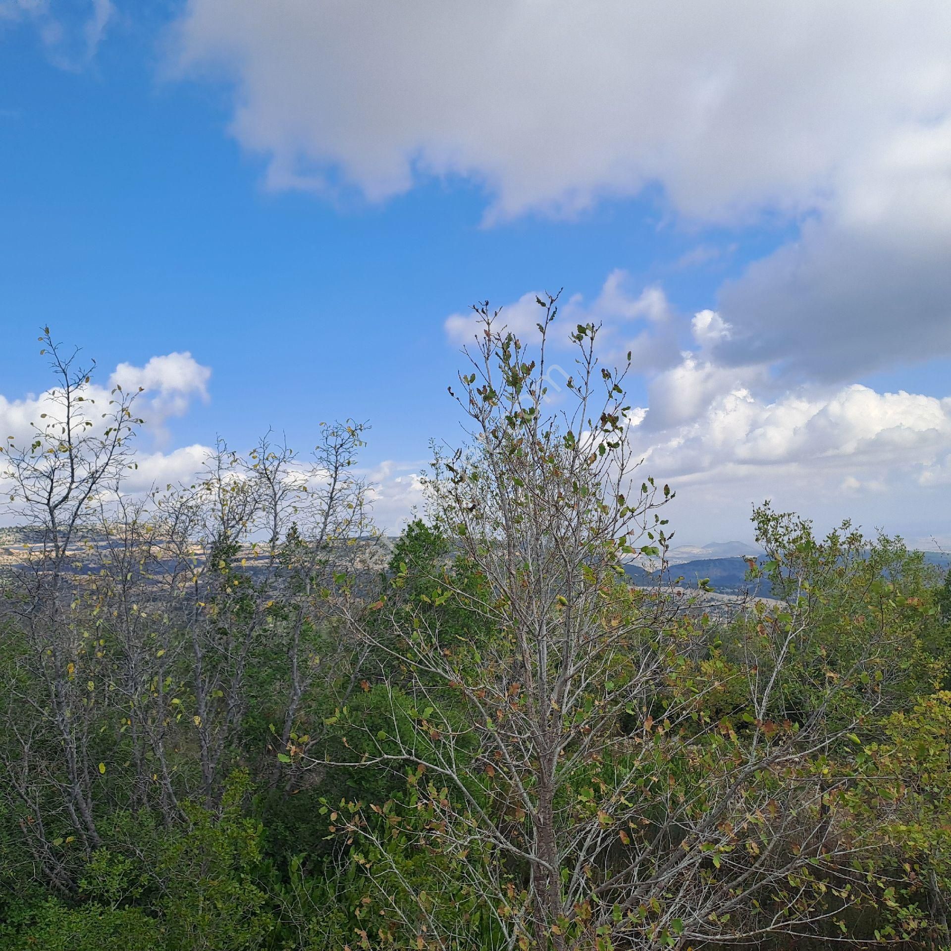 Tarsus Beylicede Yatırımlık Tek Tapu - Görsel 8