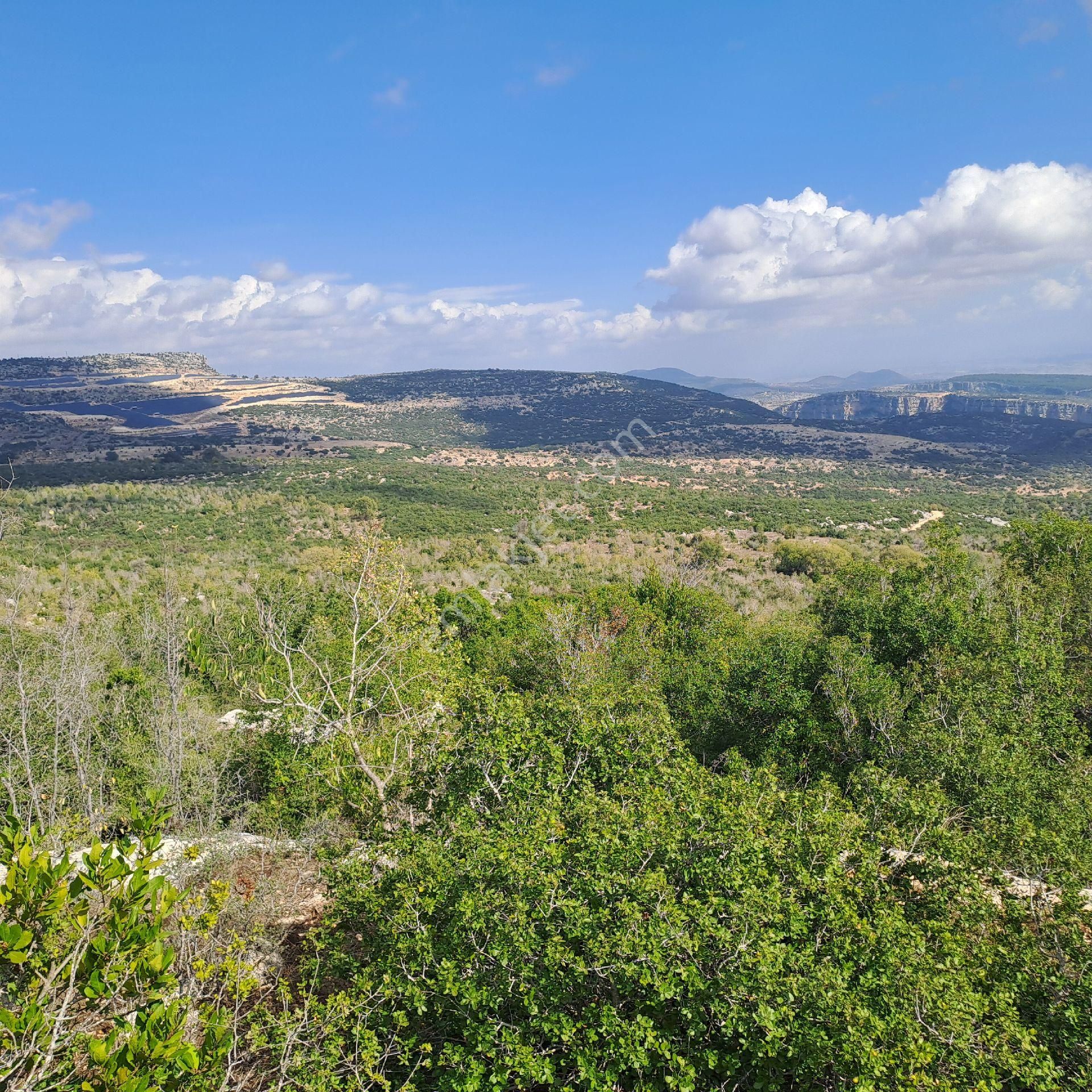 Tarsus Beylicede Yatırımlık Tek Tapu - Görsel 9