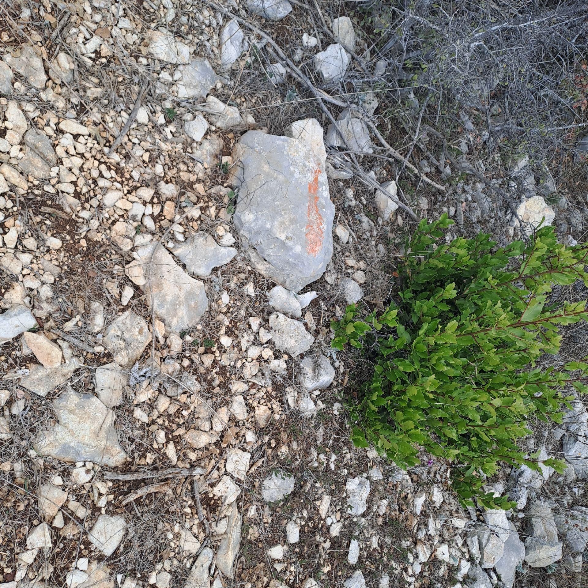 Tarsus Beylicede Yatırımlık Tek Tapu - Görsel 10