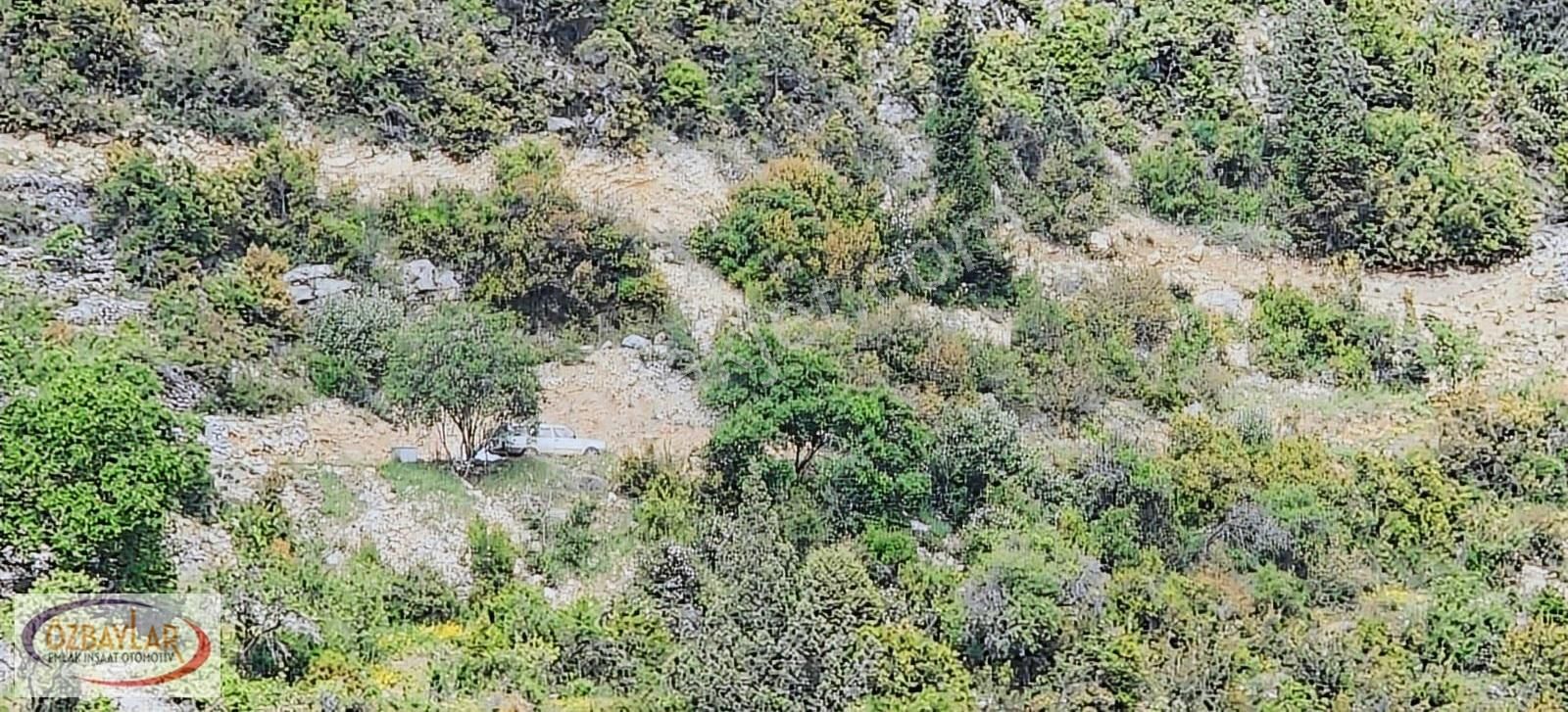 Antalya Akseki Sadıklarda Satılık Yerleşime Çok Yakın Tarla - Görsel 2