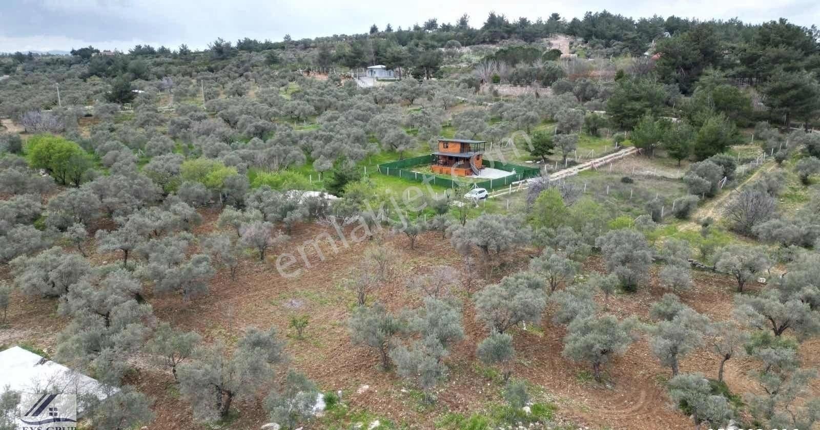 Torbalı Çapak Köy Meydanı Yakını Satılık 289 M2 Ve 623m2 Arsalar - Görsel 11