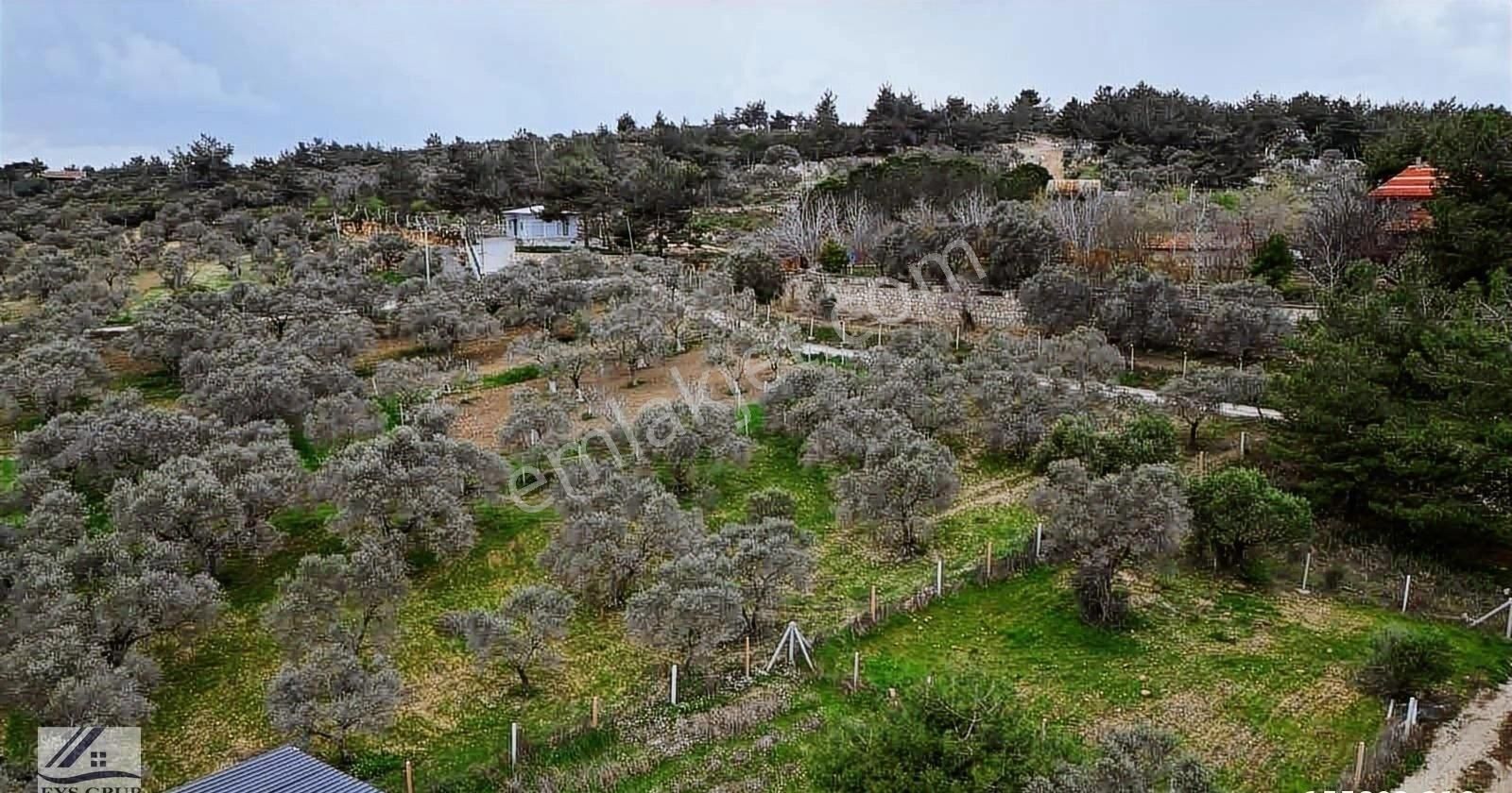 Torbalı Çapak Köy Meydanı Yakını Satılık 289 M2 Ve 623m2 Arsalar - Görsel 3