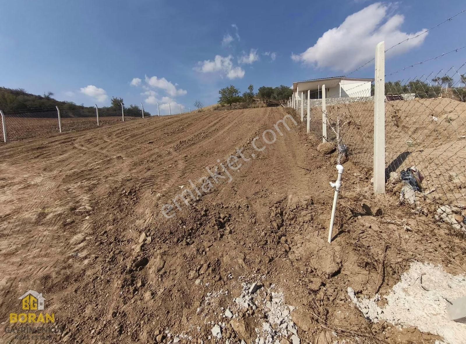 Boran Gayrimenkul'den Karaisalı Kuzgun Köyünde Satılık Arsa - Görsel 12