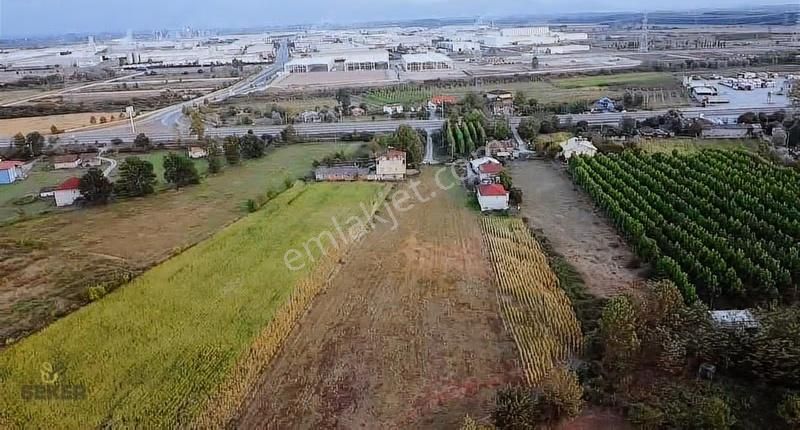 2-şeker Gayrimenkul-7275m2 Osb Karşısı Satılık Kısmi İmarlı Arsa - Görsel 3