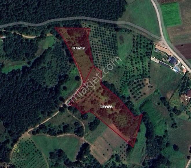 52-acil Satılık Serdivan 14260m² Sapanca Göl Manzaralı Arsa - Görsel 9