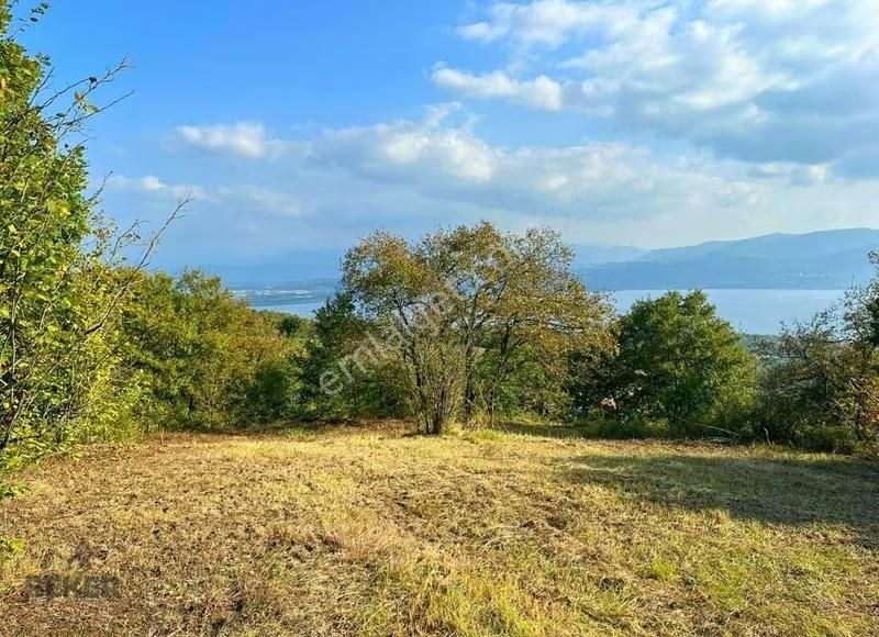 52-acil Satılık Serdivan 14260m² Sapanca Göl Manzaralı Arsa - Görsel 15