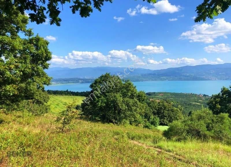 52-acil Satılık Serdivan 14260m² Sapanca Göl Manzaralı Arsa - Görsel 12