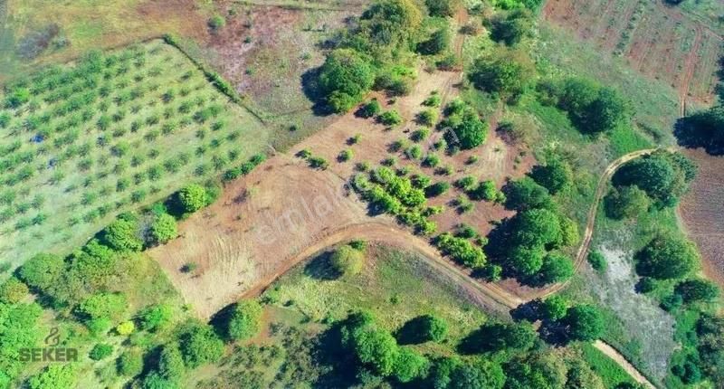 52-acil Satılık Serdivan 14260m² Sapanca Göl Manzaralı Arsa - Görsel 13