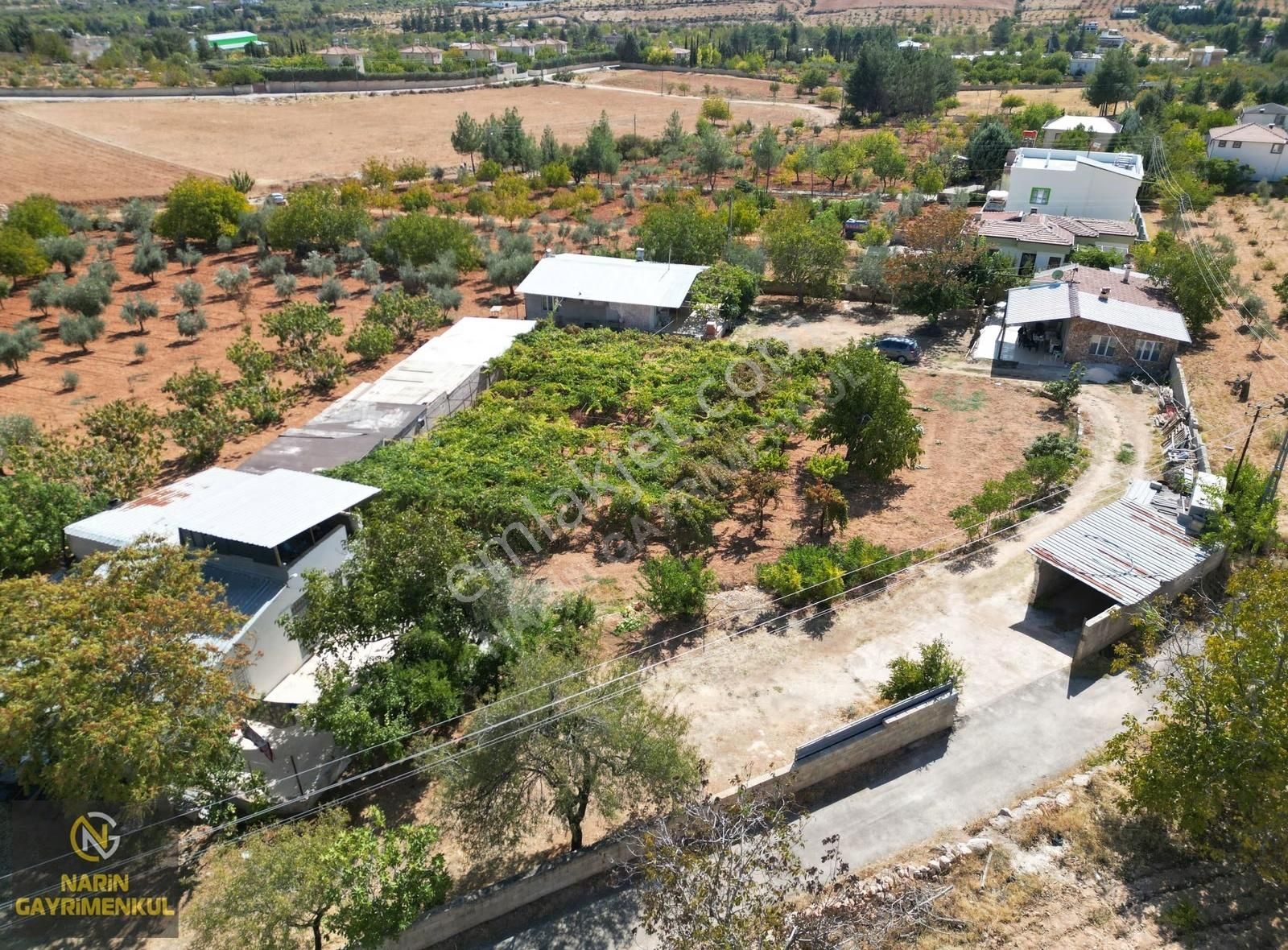 Şahinbey Durantaş 3 Adet 2+1 Ev, Kuyu,elektirik,zeytin Ceviz Mey - Görsel 5