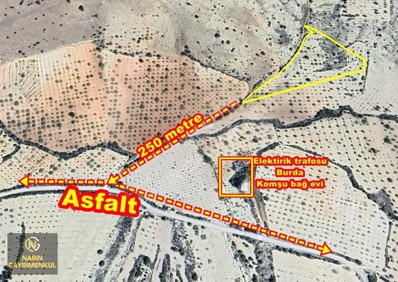 Şahinbey Güllüce Fıstık Zeytin Bahçesi Asfalta 250 Metre Mesafe - Görsel 4