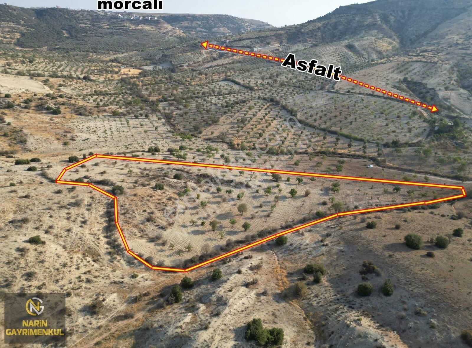 Şahinbey Güllüce Fıstık Zeytin Bahçesi Asfalta 250 Metre Mesafe - Görsel 10