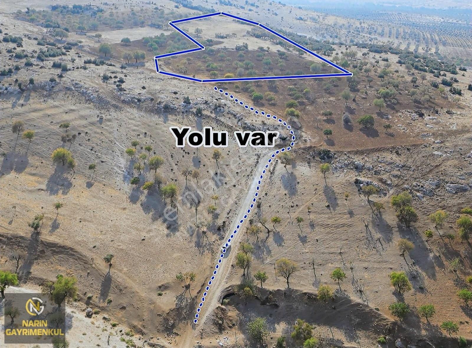 Polateli Eğlen Köyü 100 Fıstık , Yol, Manzara, Elektirik Yakın - Görsel 8
