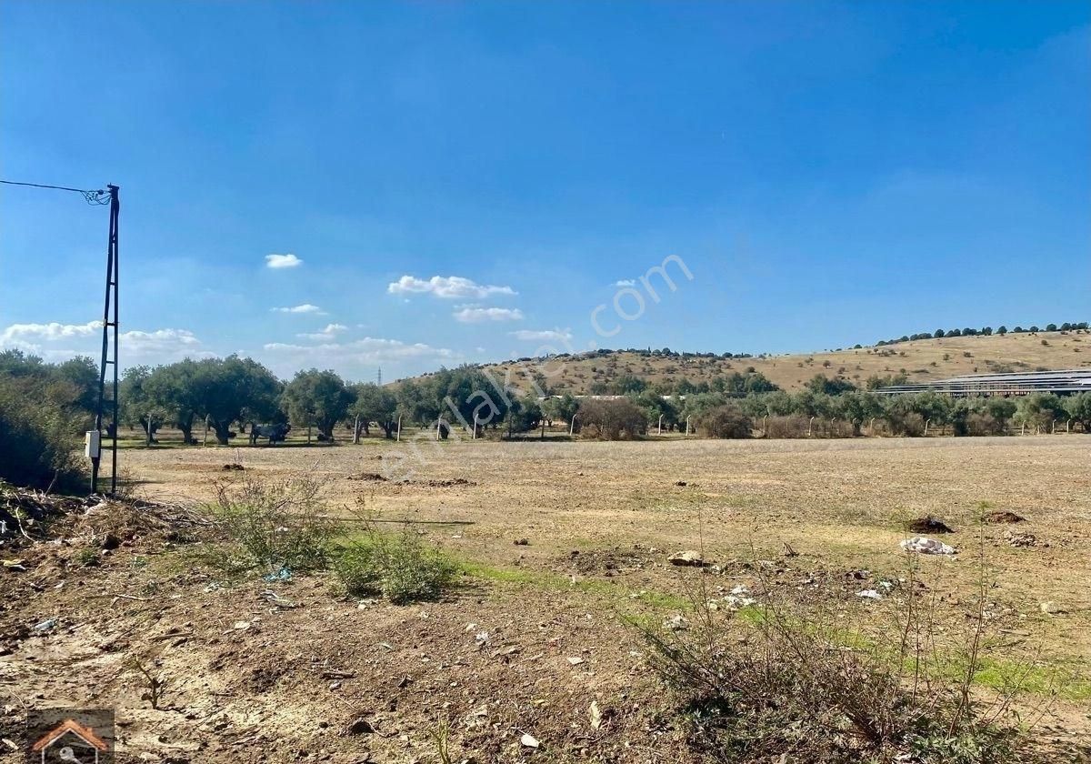 Günay Emlak'tan Torbalı Taşkeşik Mahallesi Köy Merkezi Yerleşiminin Yanı Satılık 10.222 M2 Tarla