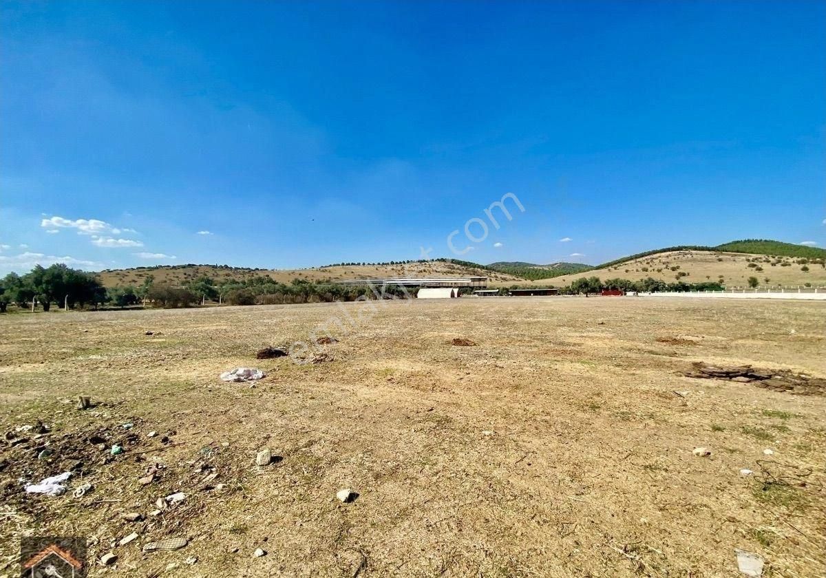 Günay Emlak'tan Torbalı Taşkeşik Mahallesi Köy Merkezi Yerleşiminin Yanı Satılık 10.222 M2 Tarla - Görsel 2