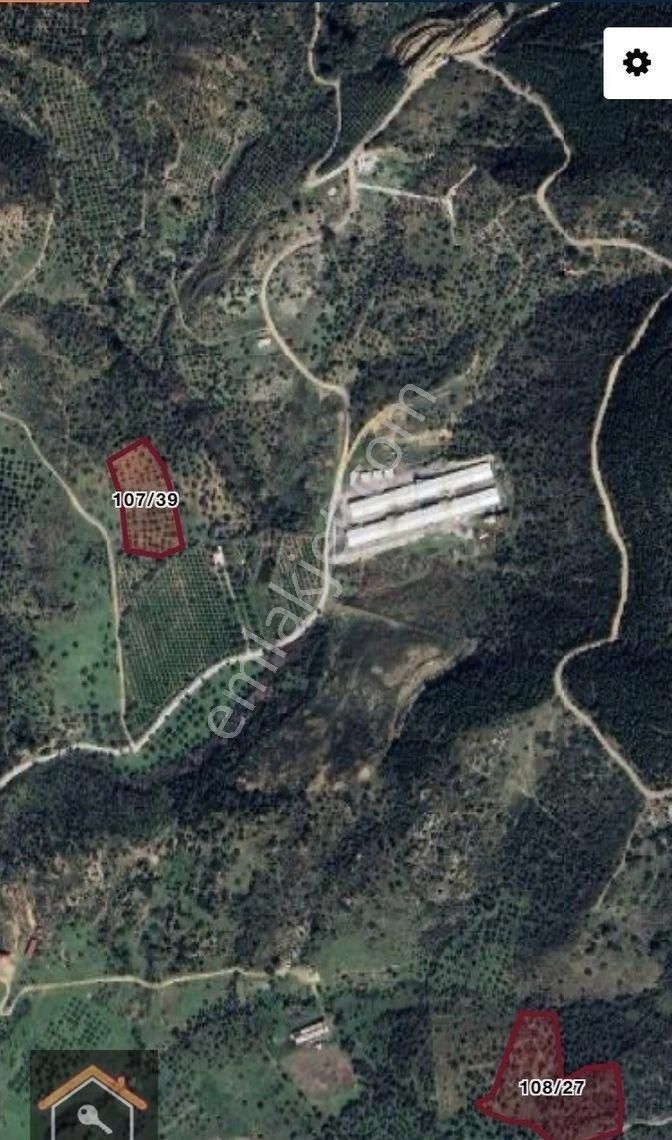 Günay Emlak'tan Torbalı Taşkeşik Mah Köy Civarı Tek Tapu Satılık Zeytinlik - Görsel 4