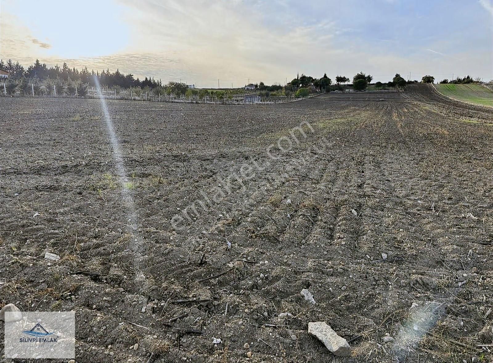 Çeltik'te Yola Cephe Elektrik Var Tek Tapu Güzel Konum - Görsel 24