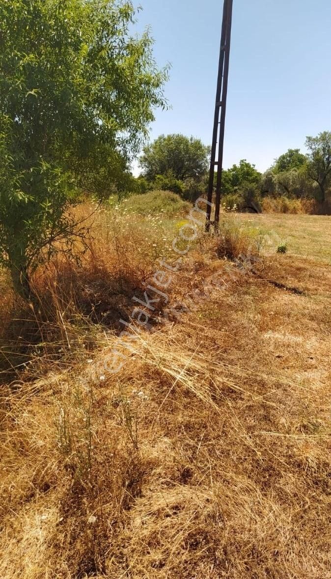Muğla Ula Köprübaşında Satılık 3878 M² Tarla - Görsel 26