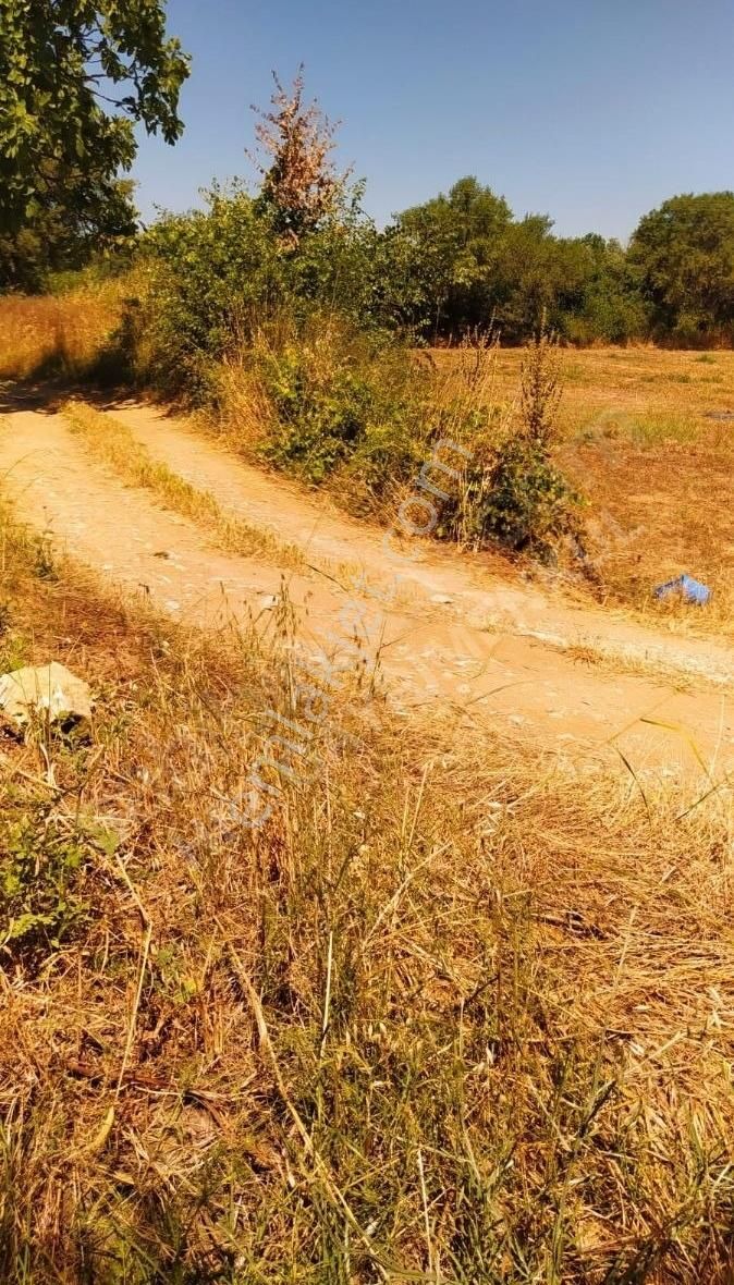 Muğla Ula Köprübaşında Satılık 3878 M² Tarla - Görsel 30
