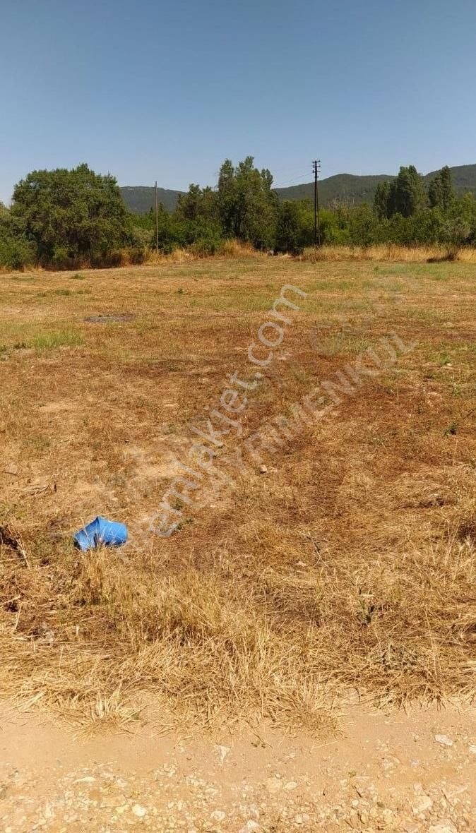 Muğla Ula Köprübaşında Satılık 3878 M² Tarla - Görsel 6