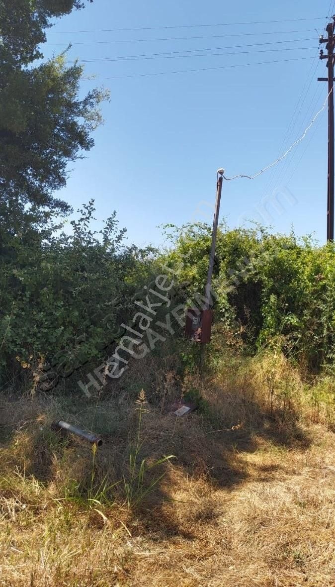 Muğla Ula Köprübaşında Satılık 3878 M² Tarla - Görsel 14