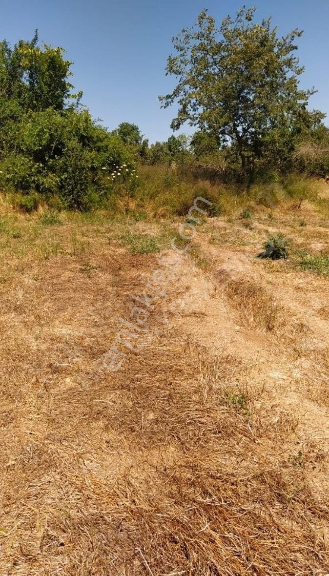 Muğla Ula Köprübaşında Satılık 3878 M² Tarla - Görsel 31