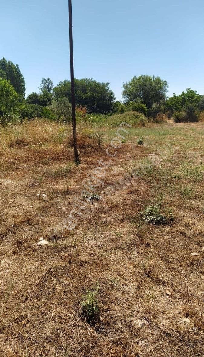 Muğla Ula Köprübaşında Satılık 3878 M² Tarla - Görsel 4