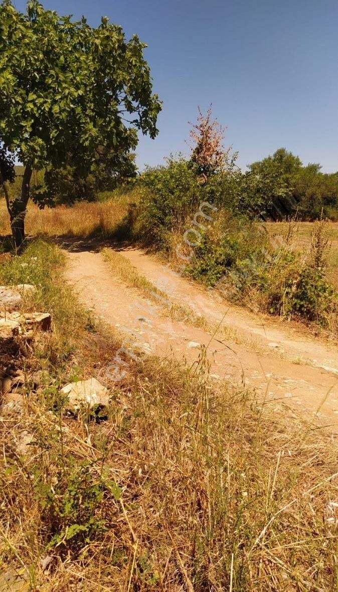 Muğla Ula Köprübaşında Satılık 3878 M² Tarla - Görsel 9