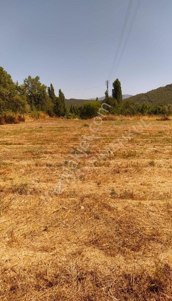 Muğla Ula Köprübaşında Satılık 3878 M² Tarla - Görsel 28